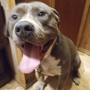 Meet your Posher, Coach